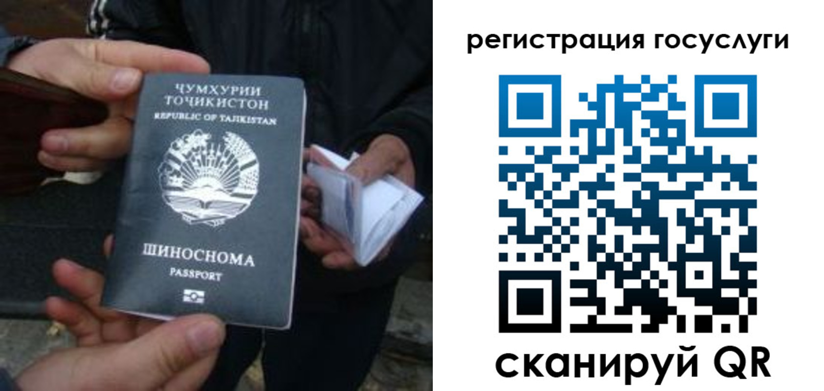 прописка регистрация в Чкаловске